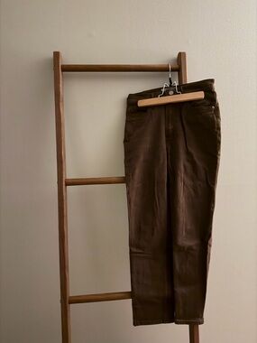 Cropped Brown Everlane Pants